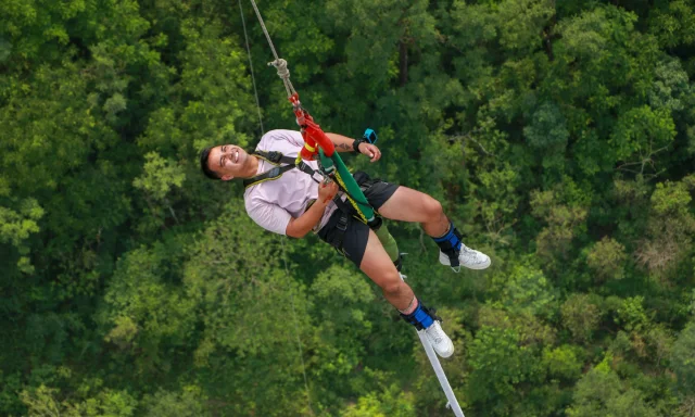 Person zip-lining over forest canopy