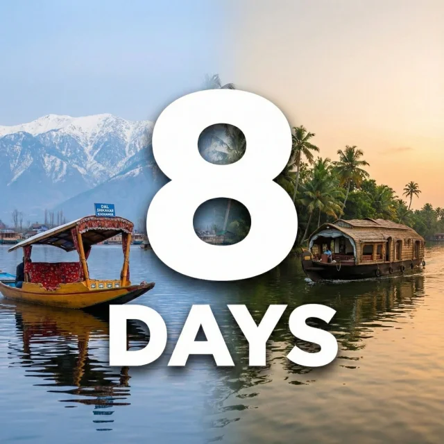 8 Days Tours