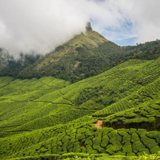Kerala Highlights: 5 Nights / 6 Days