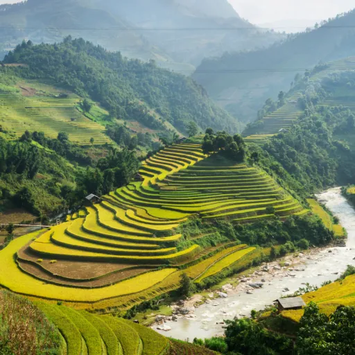 Vietnam Odyssey